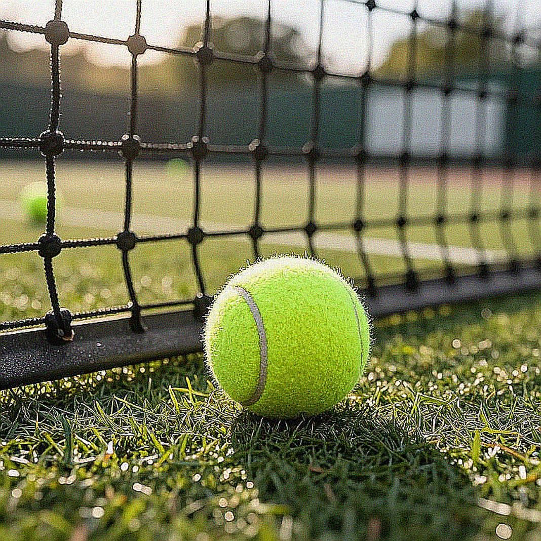 Pegula vượt Cirstea ở vòng 4 US Open: Khi dữ liệu lặng lẽ chứng minh phẩm chất của nhà vô địch Pegula vượt Cirstea ở vòng 4 US Open: Khi dữ liệu lặng lẽ chứng minh phẩm chất của nhà vô địch