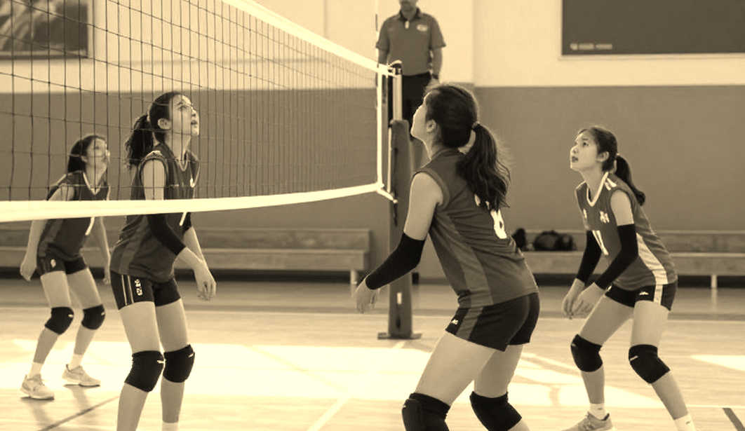 2026 AVP League: Where the Block Disappeared and the Limits of a Single Attacker 2026 AVP League: Where the Block Disappeared and the Limits of a Single Attacker