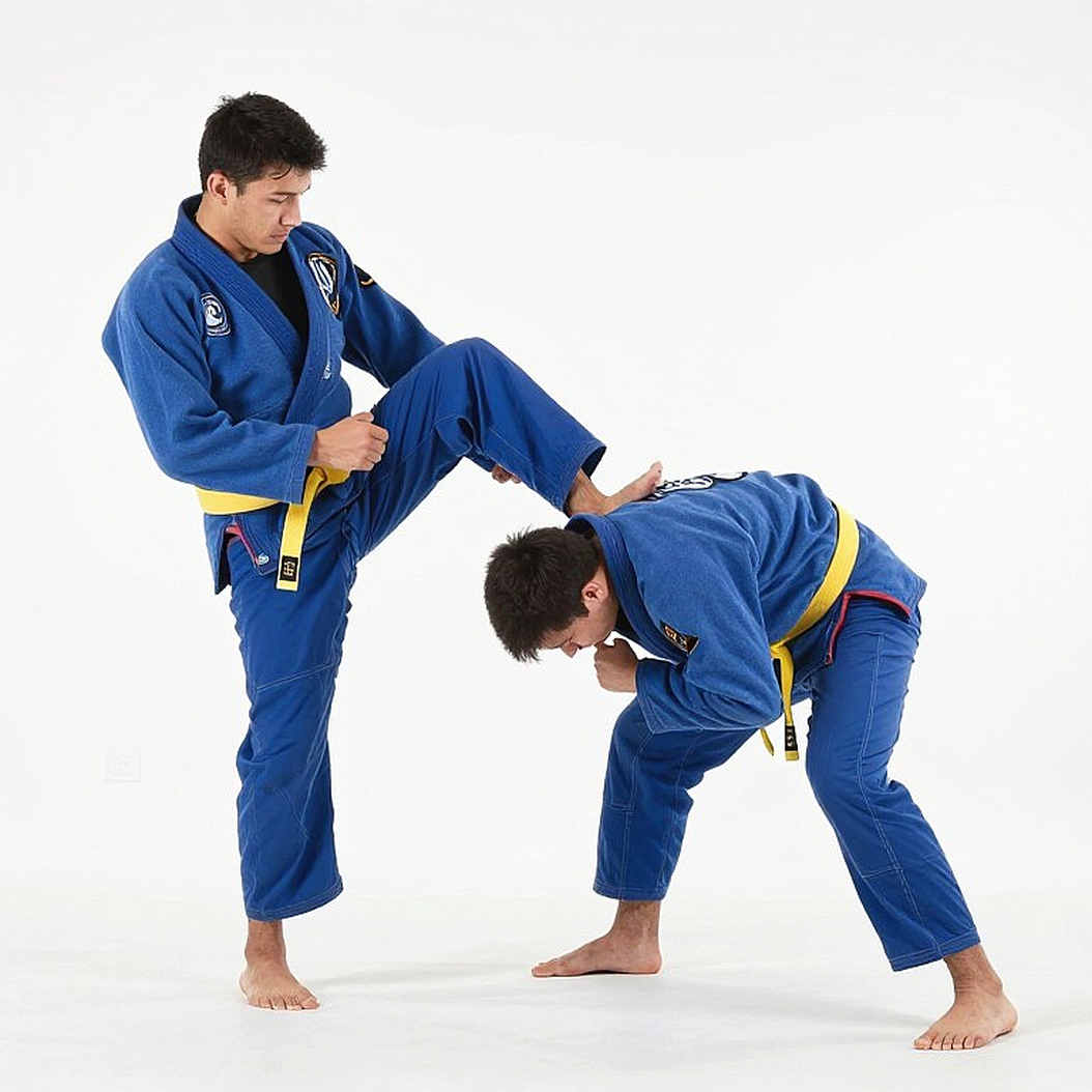 27 triều hoàng hạng nặng UFC trong 28 năm: Phân tích chu kỳ thống trị và rủi ro hệ thống của hạng cân nguy hiểm nhất